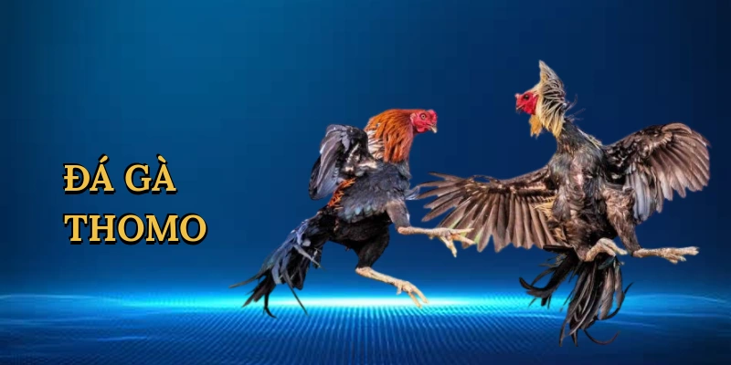 da-ga-thomo-1