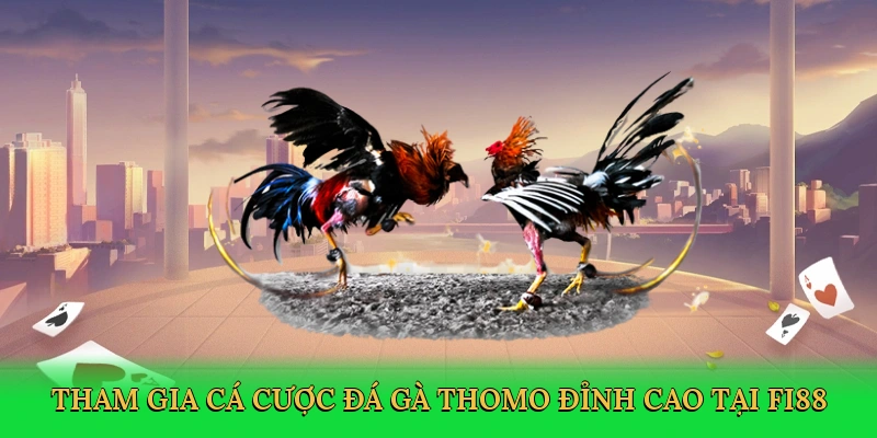 tham-gia-ca-cuoc-da-ga-thomo-dinh-cao-tai-fi88-3