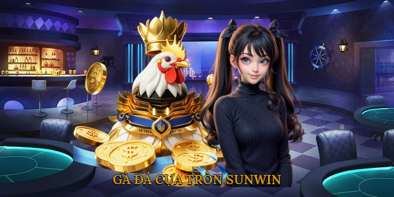 Gà Đá Cựa Tròn SUNWIN
