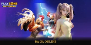 đá gà online