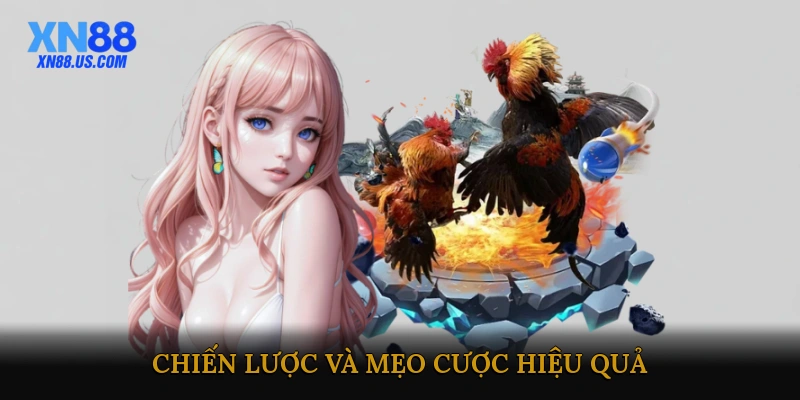 Chiến lược và mẹo cược hiệu quả