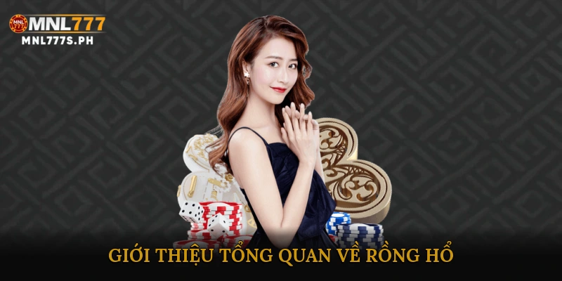 Giới thiệu tổng quan về Rồng Hổ