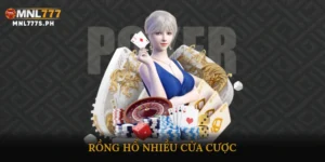 Rồng Hổ nhiều cửa cược