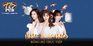Rồng Hổ trực tiếp