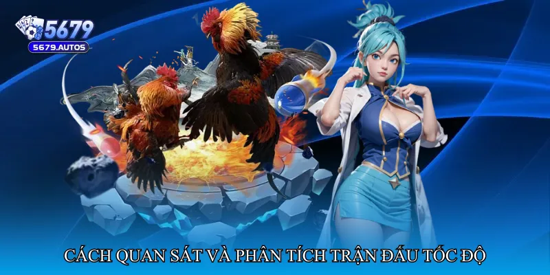 Cách quan sát và phân tích trận đấu tốc độ