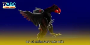 Đá gà kiểm soát bàn đấu