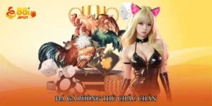 Đá gà phòng thủ chắc chắn