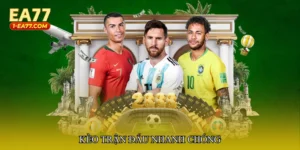 Kèo trận đấu nhanh chóng