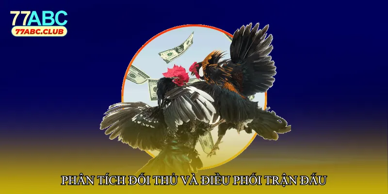 Phân tích đối thủ và điều phối trận đấu