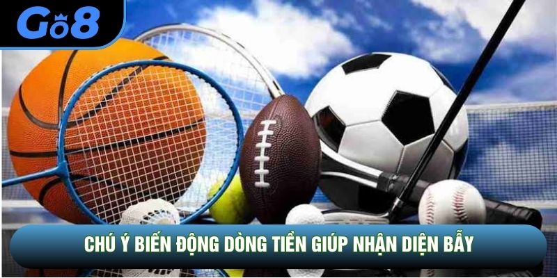 Chú ý biến động dòng tiền giúp nhận diện bẫy Chú ý biến động dòng tiền giúp nhận diện bẫy