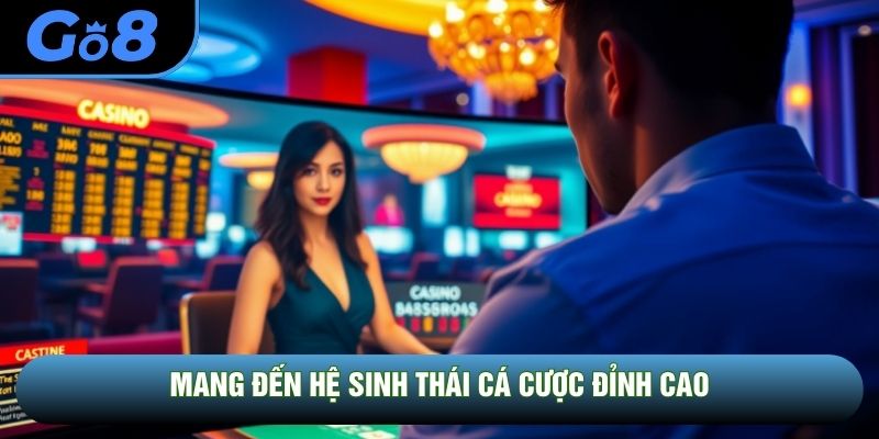 Mang đến hệ sinh thái cá cược đỉnh cao Mang đến hệ sinh thái cá cược đỉnh cao