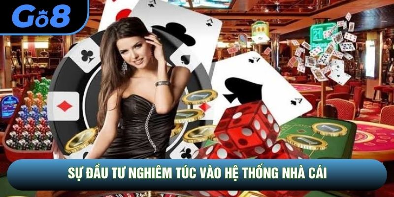 Sự đầu tư nghiêm túc vào hệ thống nhà cái